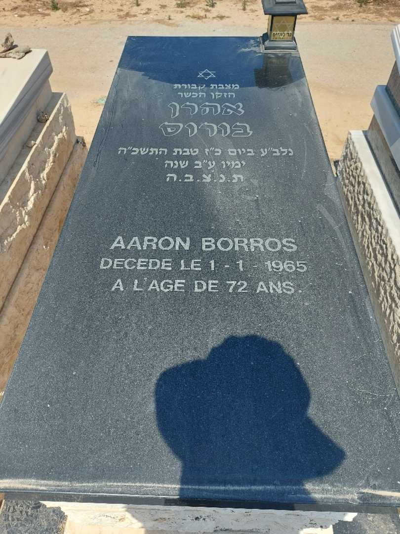 קברו של אהרן בורוס