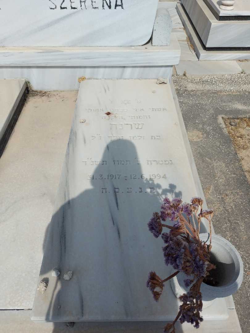 קברו של שרנה טרגר. תמונה 2