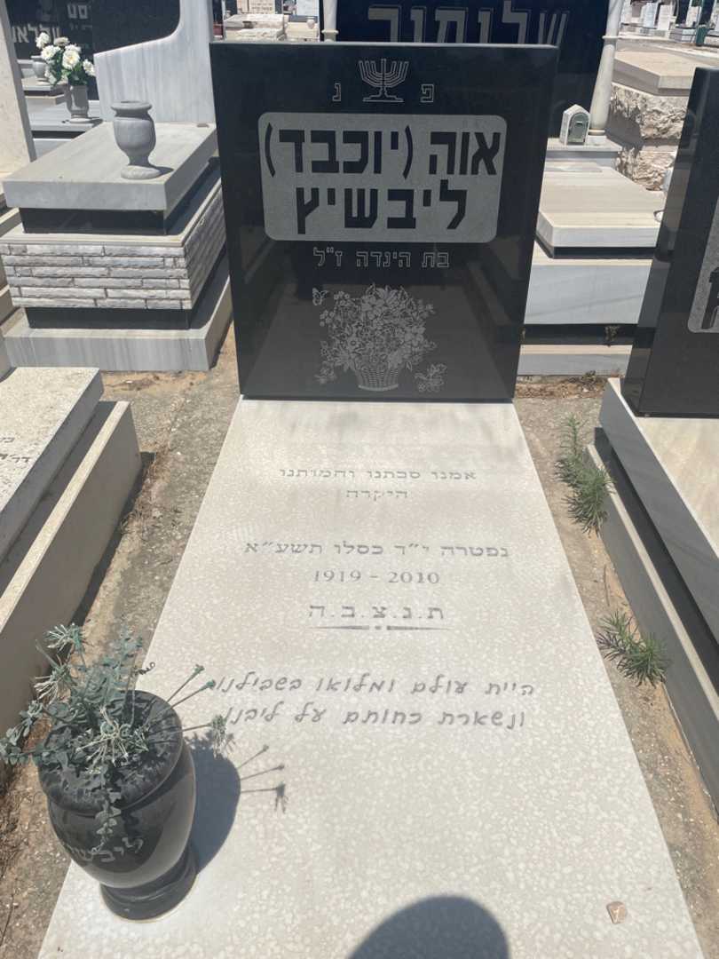 קברו של אוה "יוכבד" ליבשיץ. תמונה 2