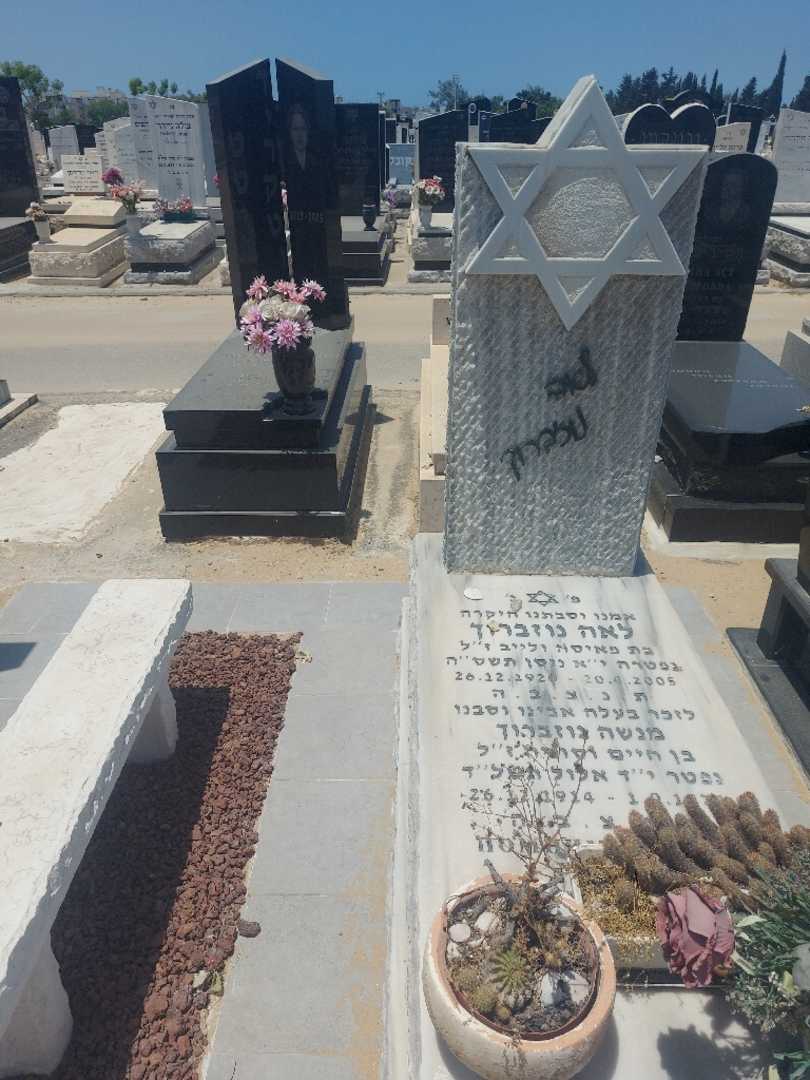 קברו של מנשה נוזברוך. תמונה 1