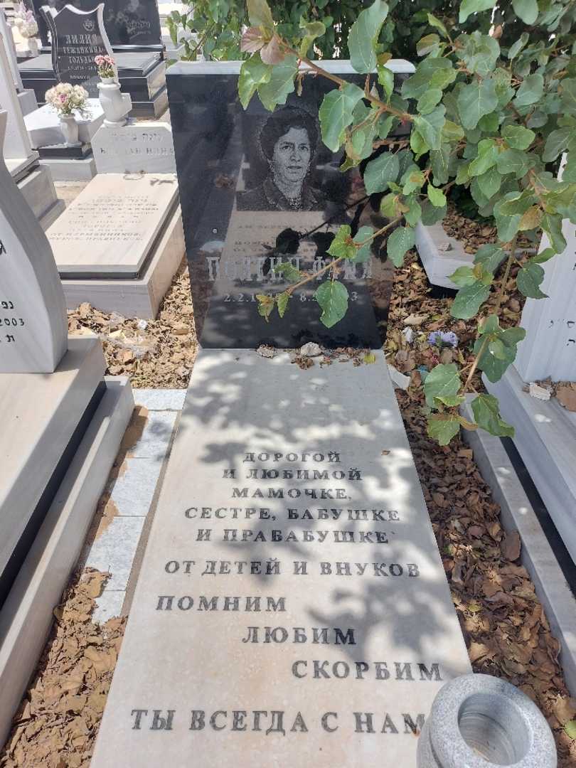 קברו של פאניה פולגין. תמונה 1