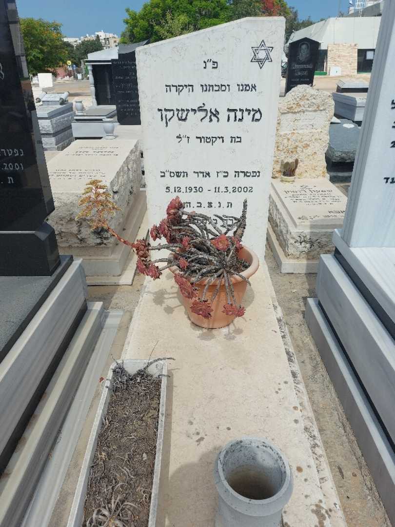 קברו של מינה אלישקו. תמונה 1