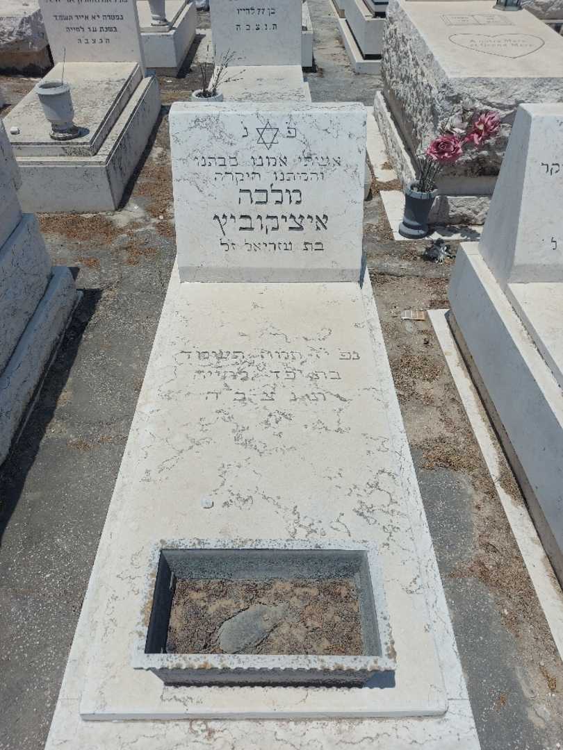 קברו של מלכה איצקוביץ