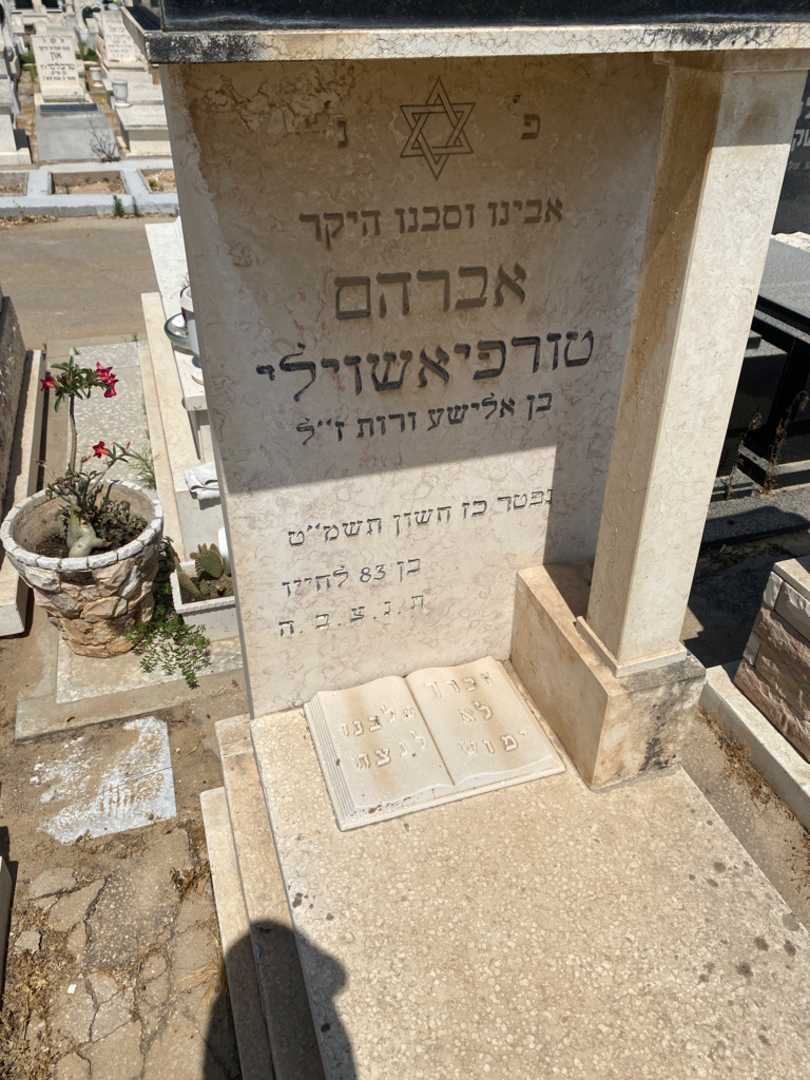 קברו של אברהם טורפיאשוילי. תמונה 2
