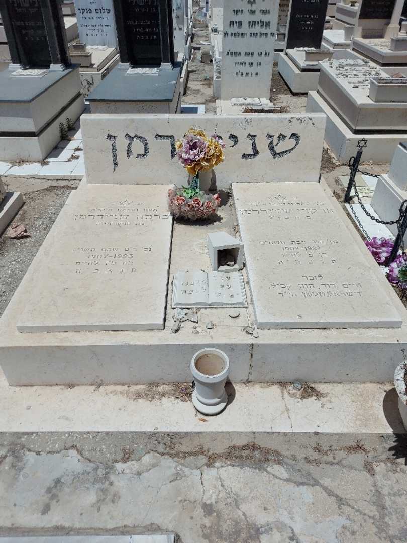 קברו של ארקדי שניידרמן. תמונה 1