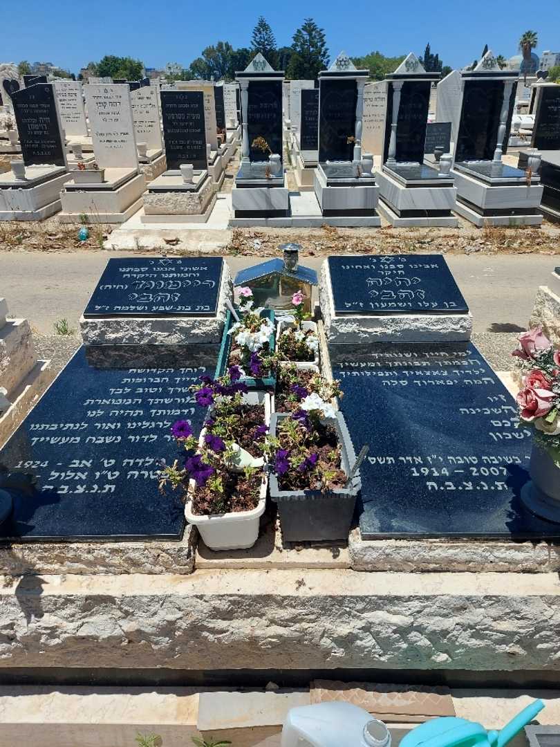 קברו של ריימונד זהבי. תמונה 2