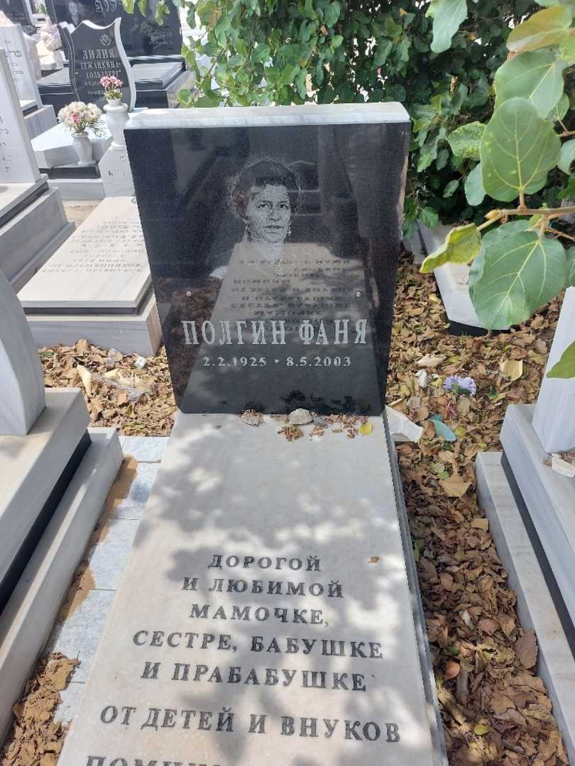 קברו של פאניה פולגין. תמונה 2