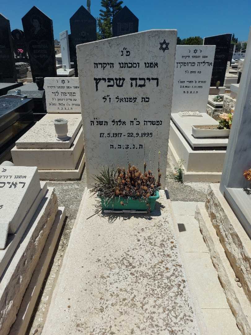 קברו של ריבה שפיץ