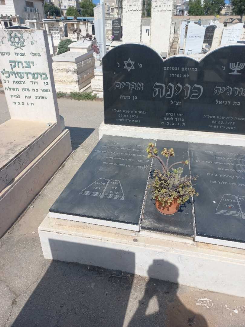 קברו של אפרים כוינה. תמונה 2