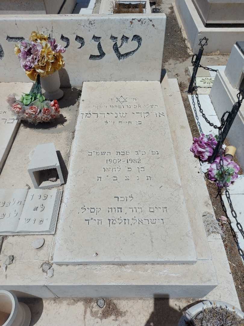 קברו של ארקדי שניידרמן. תמונה 2