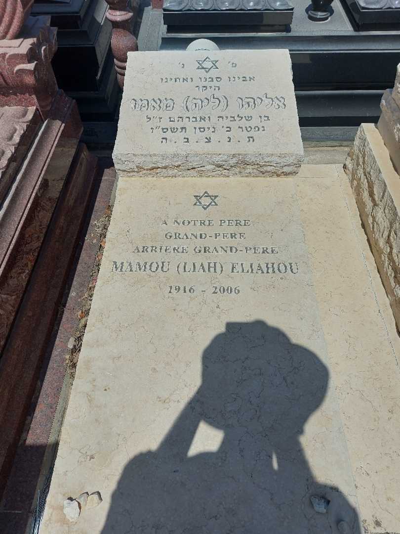 קברו של ליה "ליה" מאמו