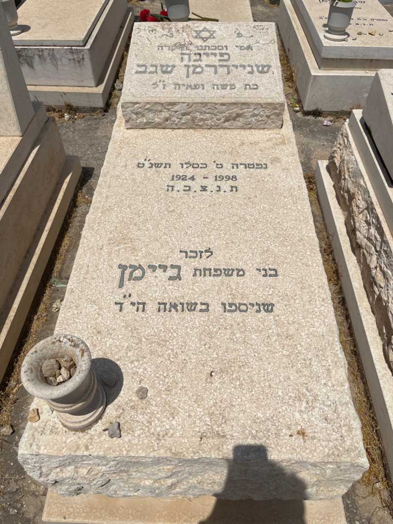 קברו של פייגה שגב