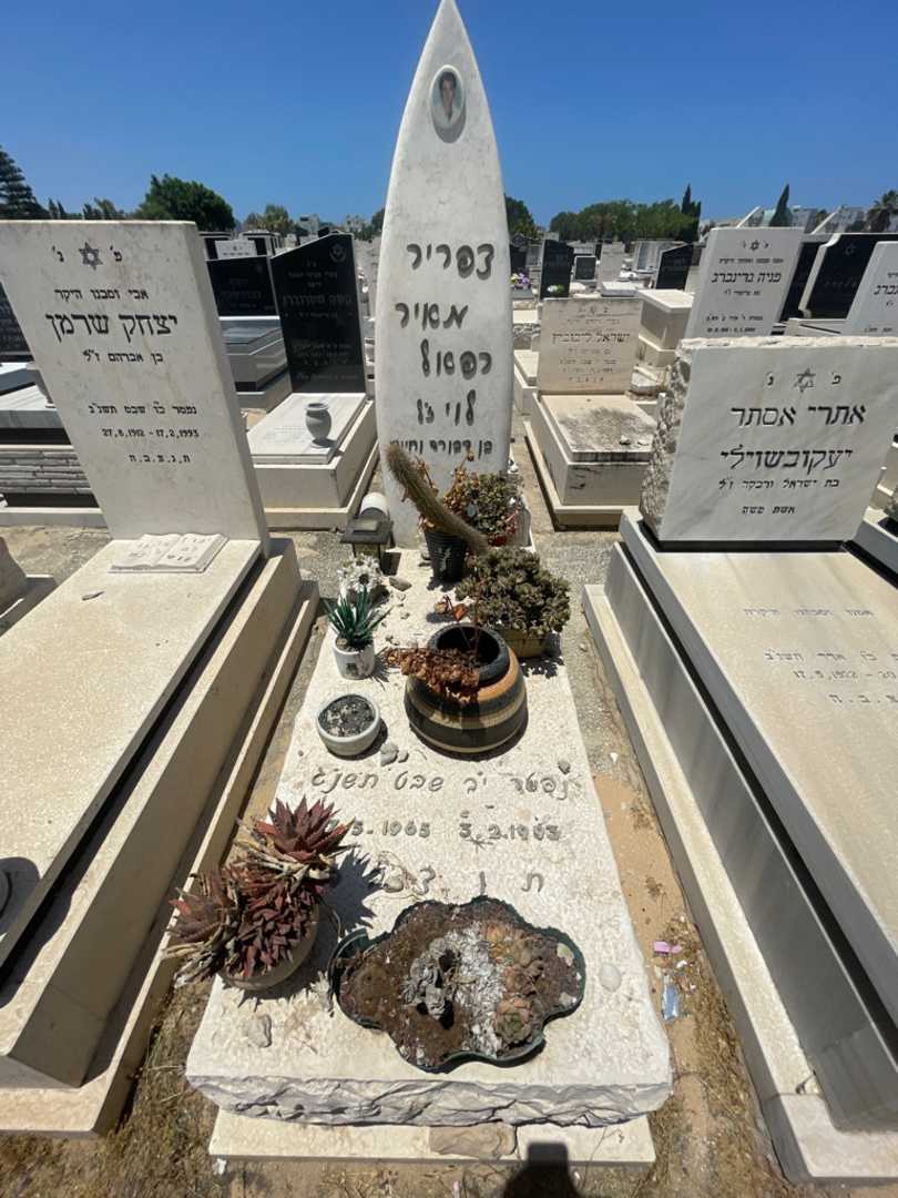 קברו של צפריר/מאיר לוי. תמונה 1