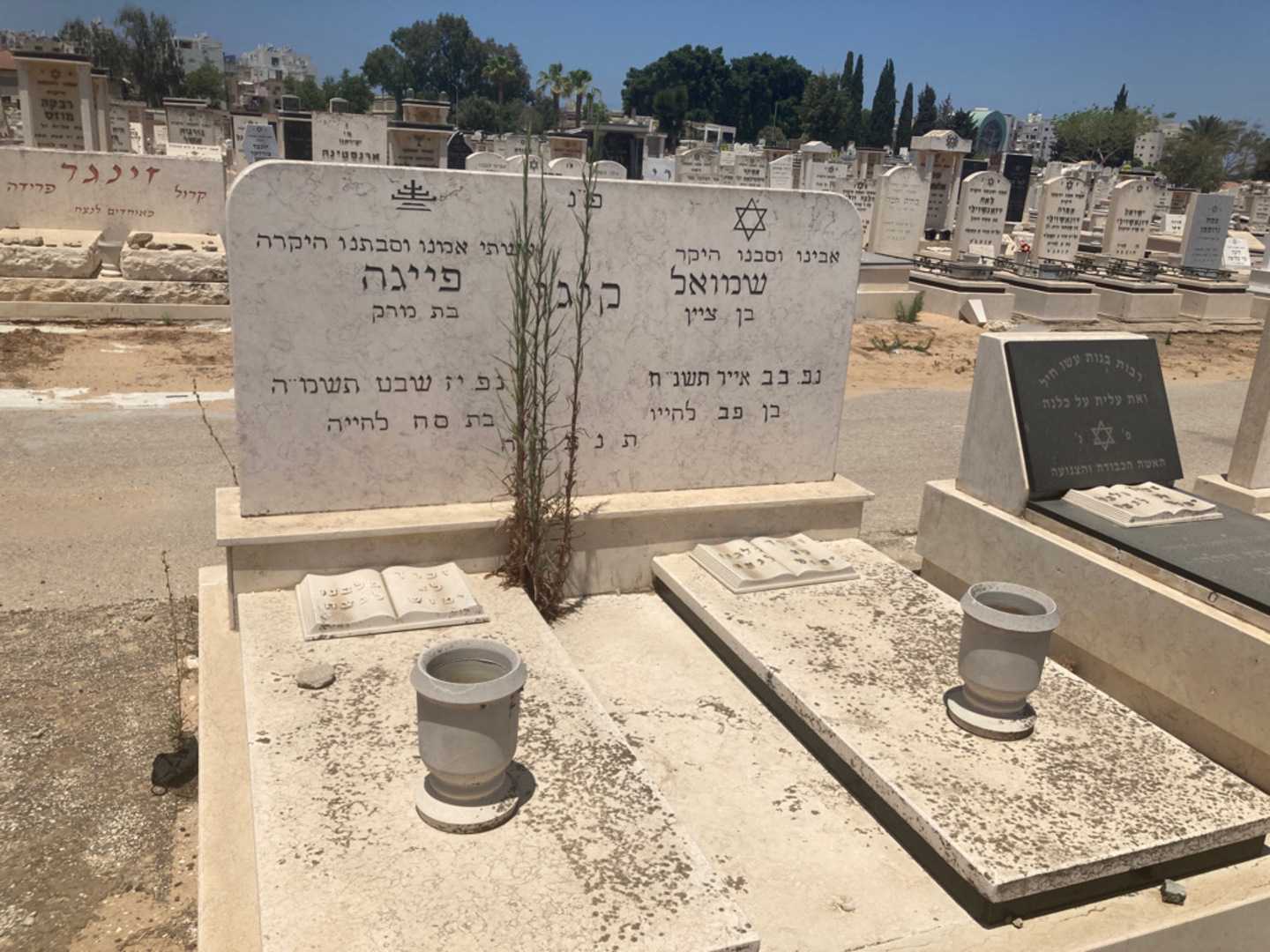 קברו של פייגה קוגן. תמונה 1