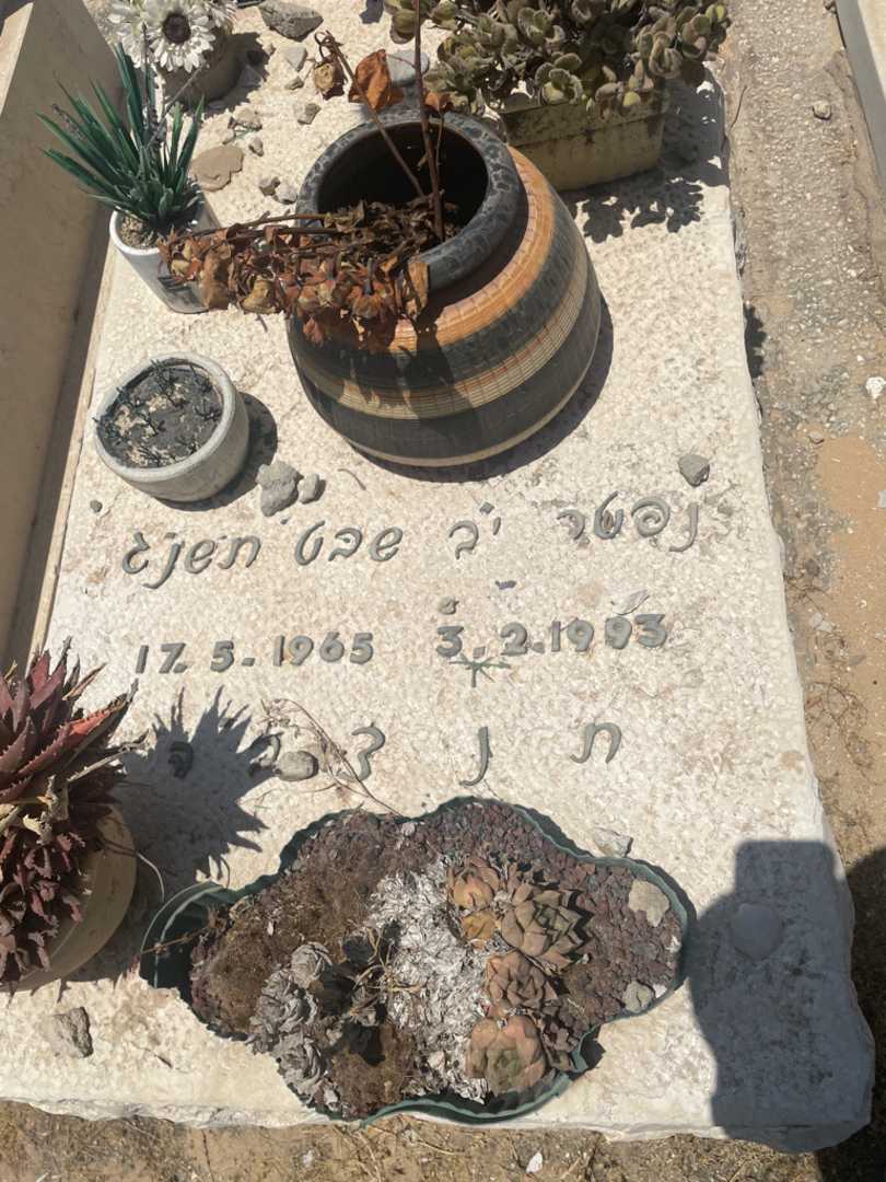 קברו של צפריר/מאיר לוי. תמונה 2