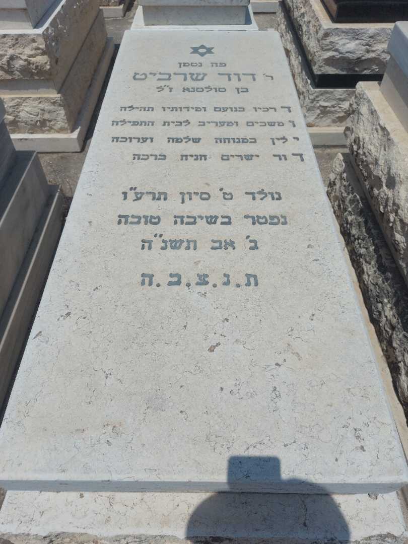 קברו של דוד שרביט