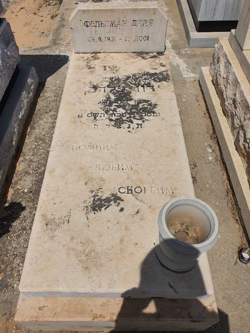 קברו של דוד פלדמן