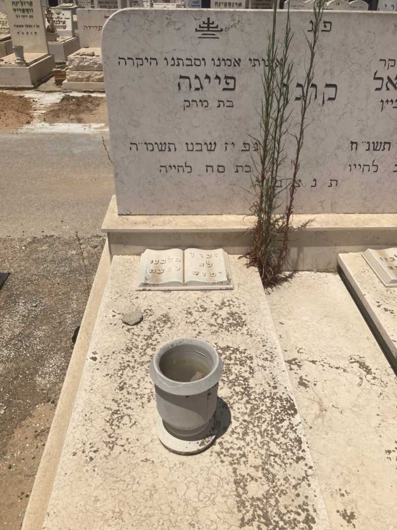 קברו של פייגה קוגן. תמונה 2