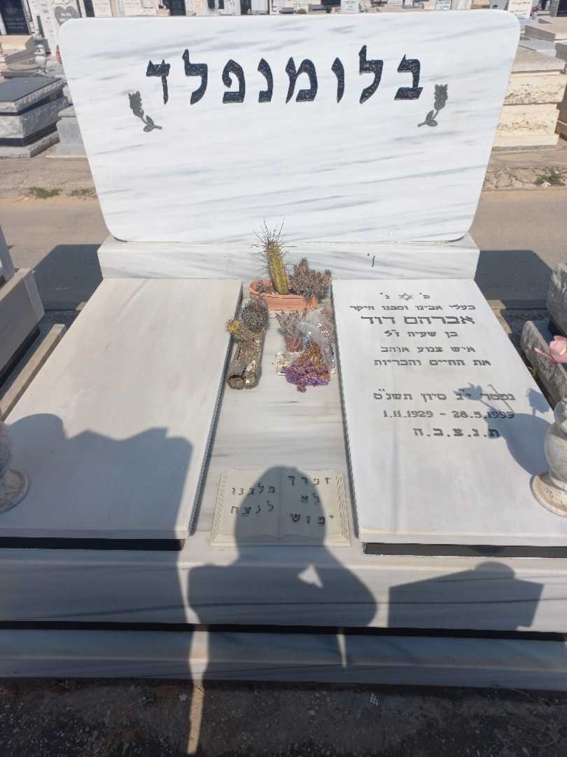 קברו של דוד אברהם בלומנפלד. תמונה 1