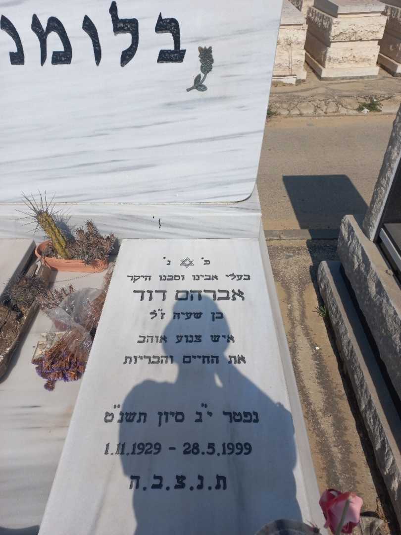 קברו של דוד אברהם בלומנפלד. תמונה 2