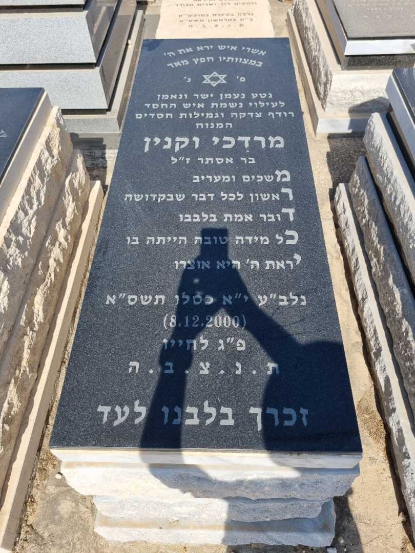 קברו של מרדכי וקנין