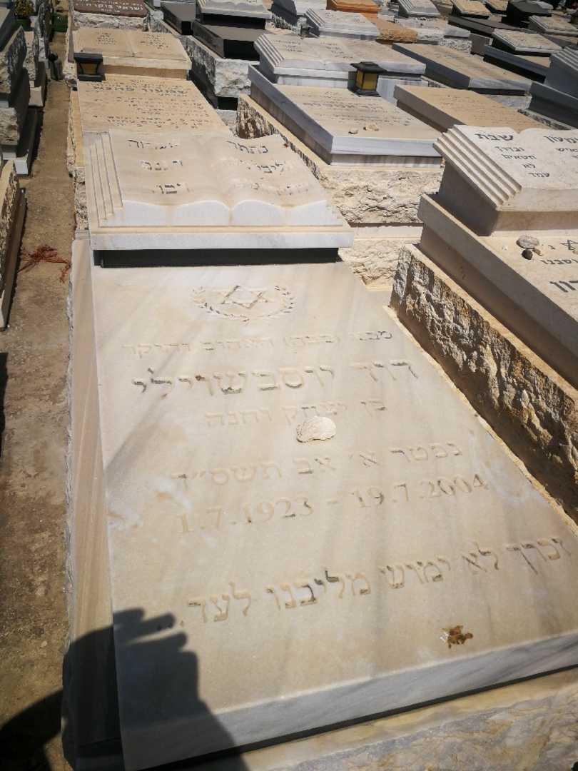 קברו של דוד יוסבשוילי