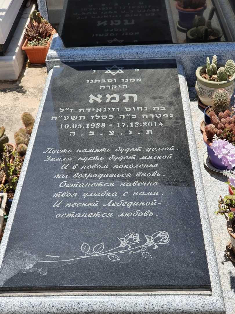 קברו של תמא בולקין. תמונה 2