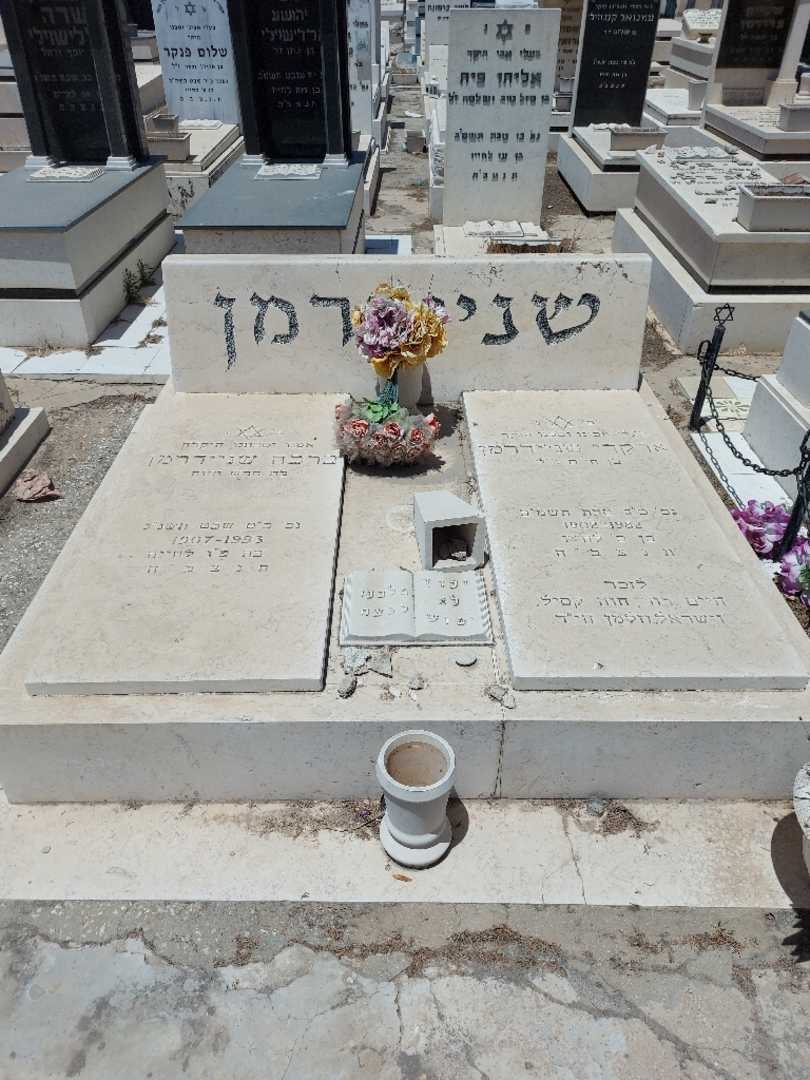 קברו של ברכה שניידרמן. תמונה 1