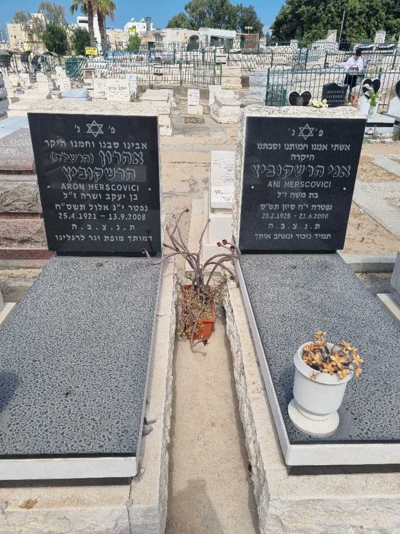 קברו של אהרון "הרשליה" הרשקוביץ. תמונה 1