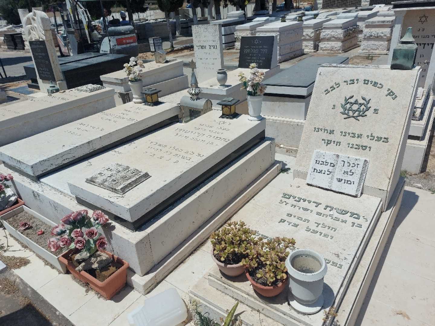 קברו של משה דיינים. תמונה 1