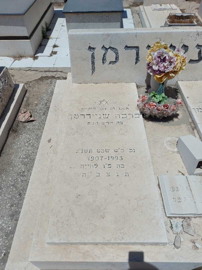 קברו של ברכה שניידרמן. תמונה 2