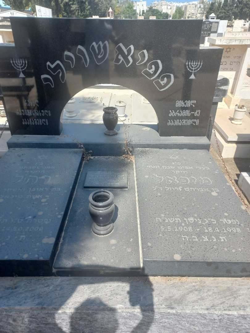 קברו של מיכאל פפיאשוילי. תמונה 2