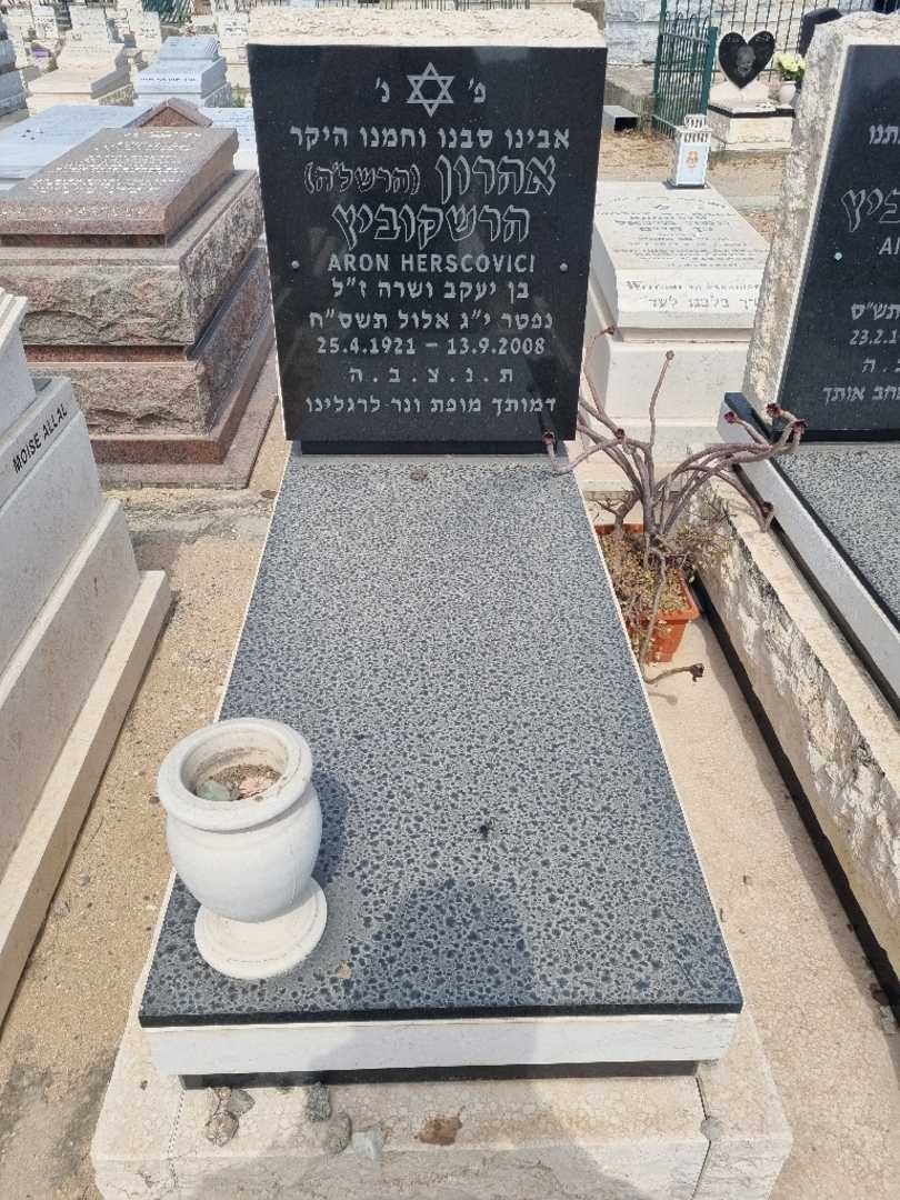 קברו של אהרון "הרשליה" הרשקוביץ. תמונה 2