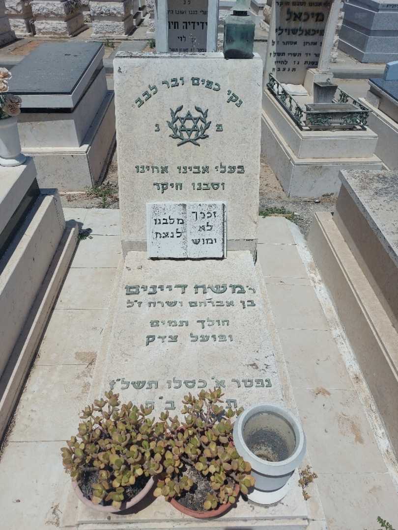 קברו של משה דיינים. תמונה 2