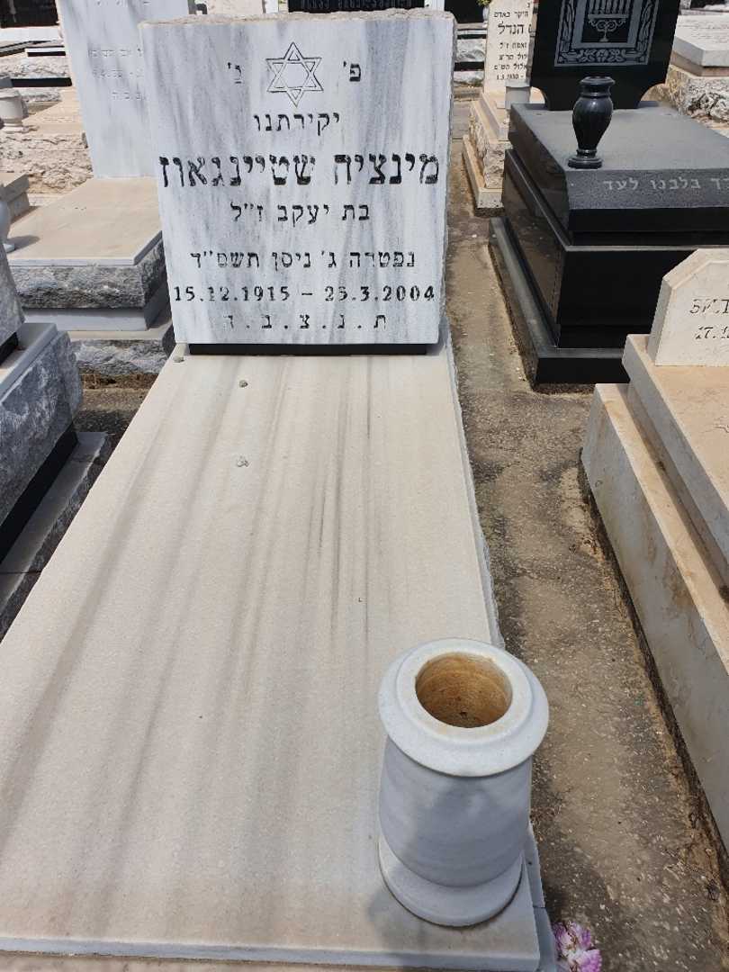 קברו של מינציה שטיינגאוז