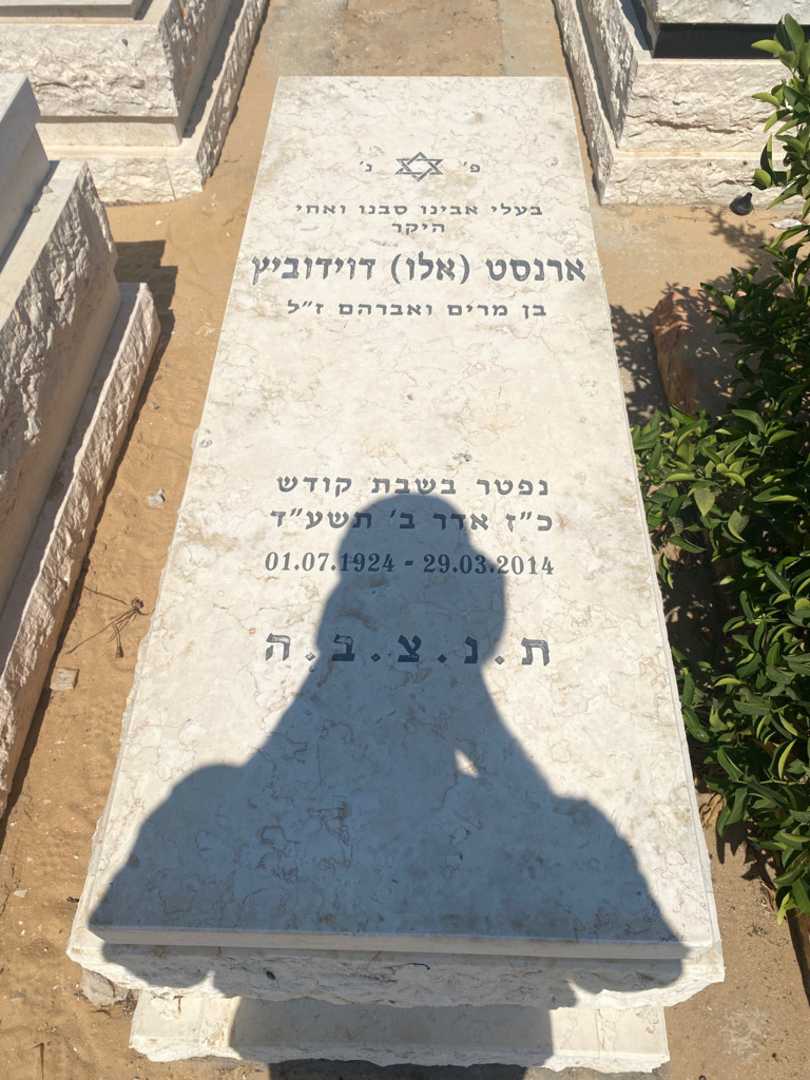 קברו של ארנסט "אלו" דוידוביץ
