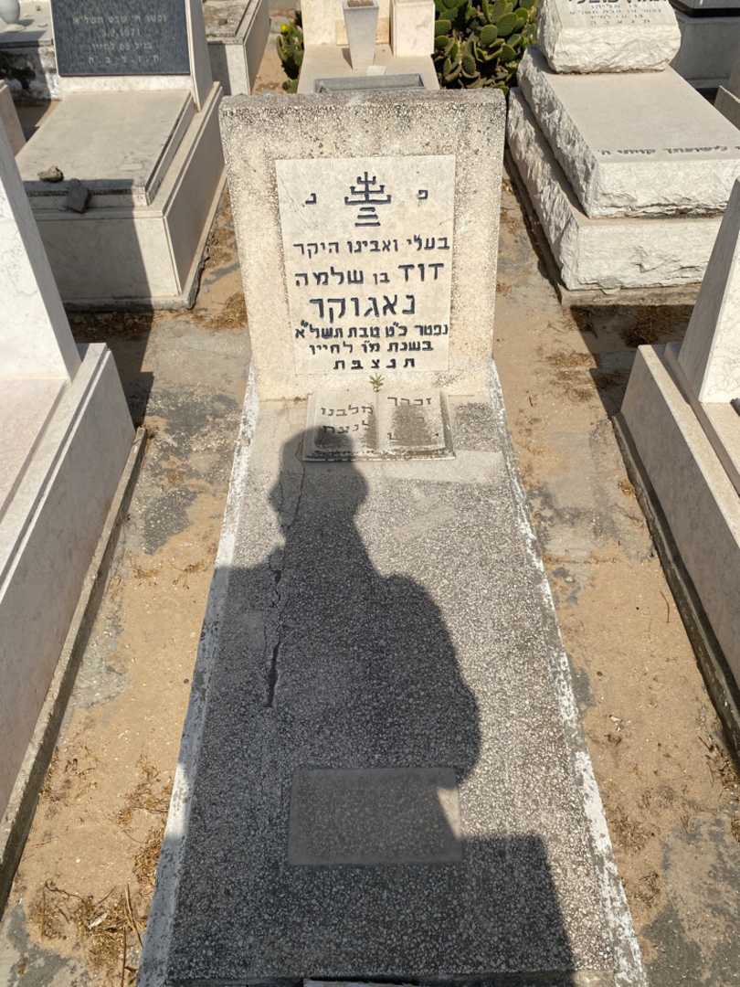 קברו של דוד נאגוקר