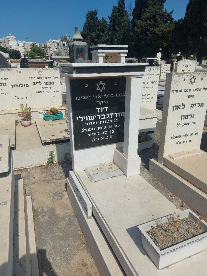 קברו של דוד מודזגבריאשוילי