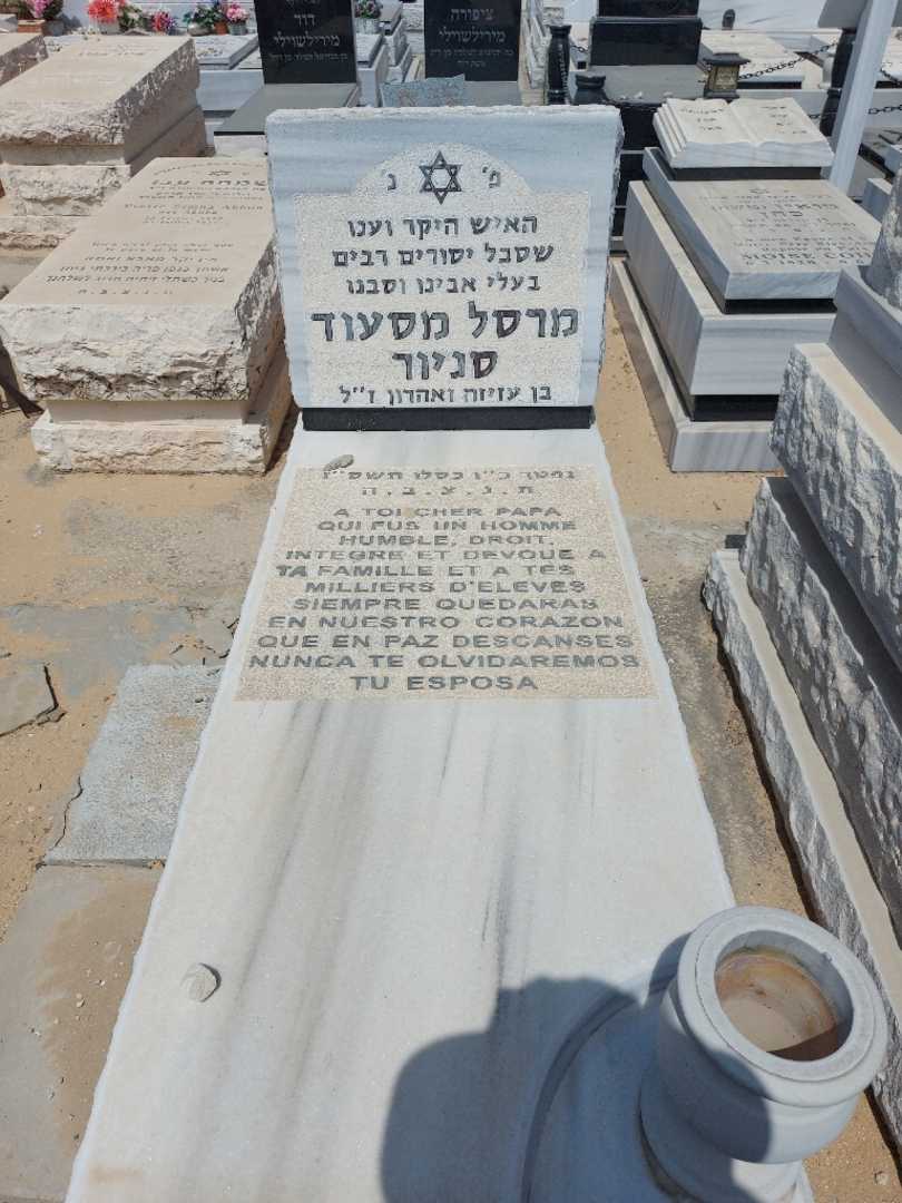 קברו של מסעוד סניור
