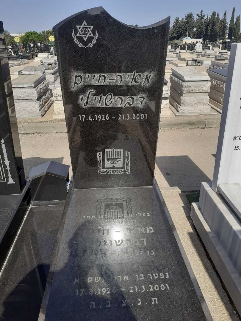 קברו של מאיר חיים דבראשוילי