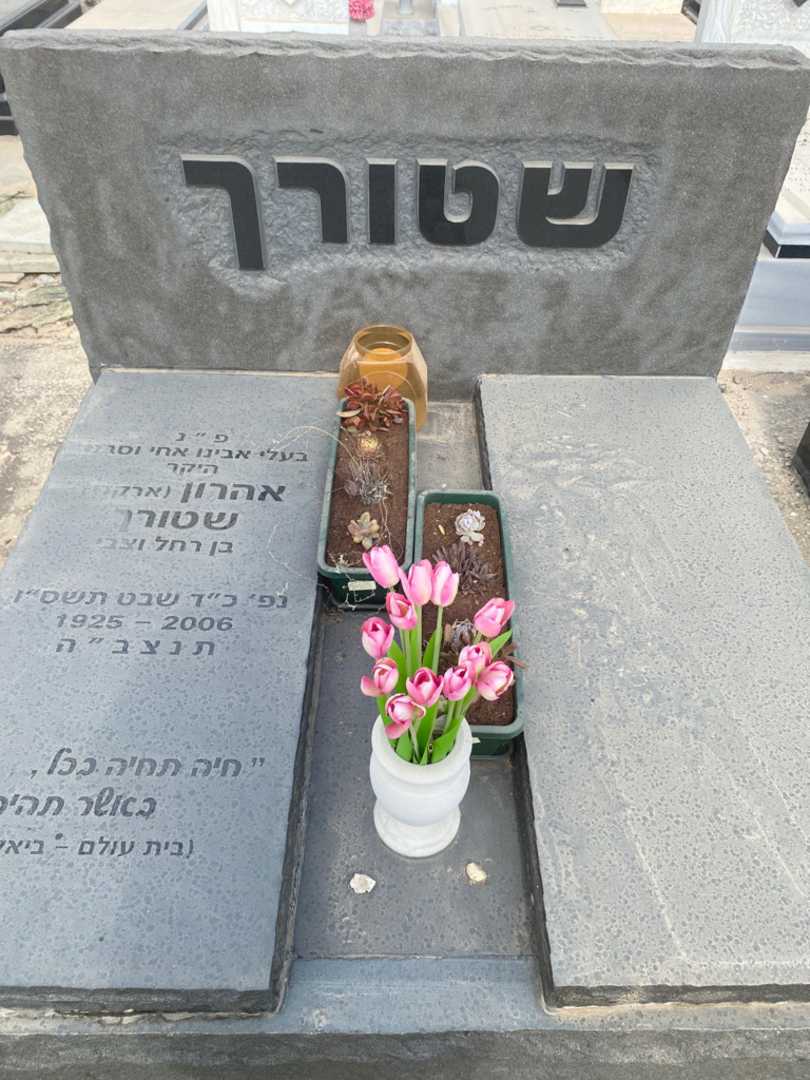 קברו של אהרון (ארקדי) שטרוך. תמונה 1