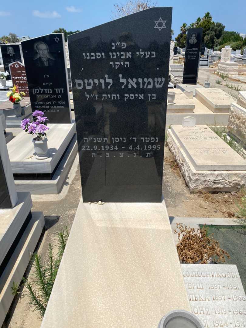 קברו של חיה לויטס. תמונה 2