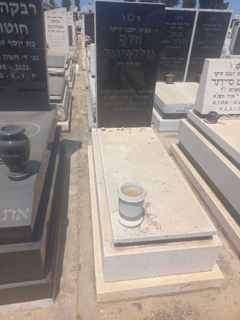 קברו של אדם גולדפינגר
