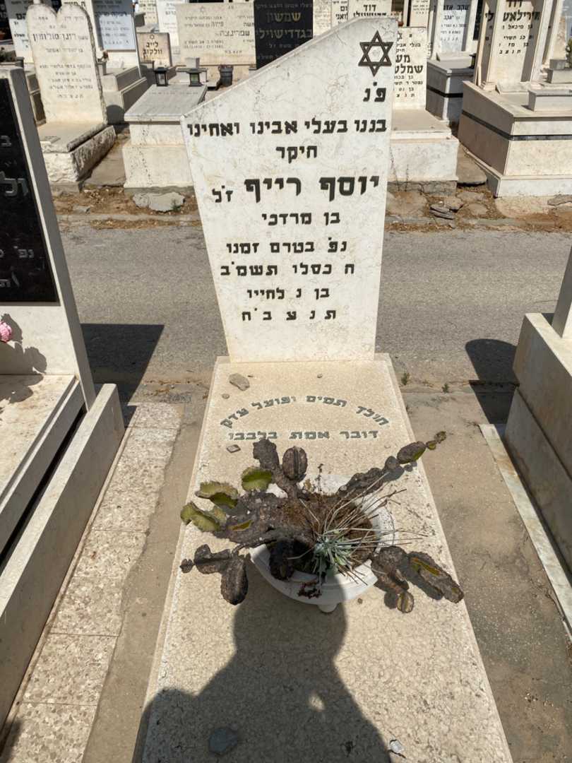 קברו של יוסף רייף