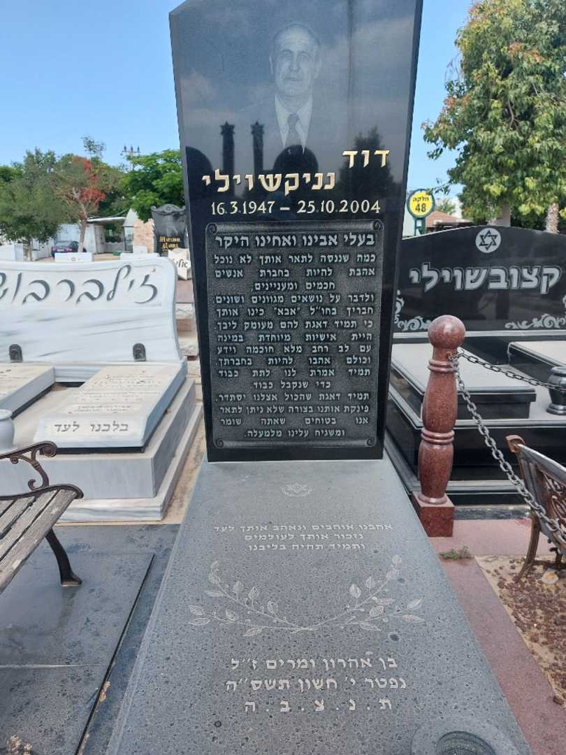 קברו של דוד נניקה. תמונה 1