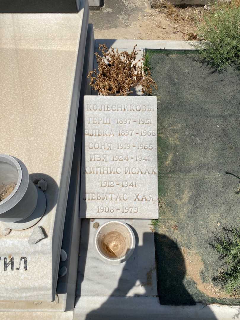 קברו של חיה לויטס. תמונה 3