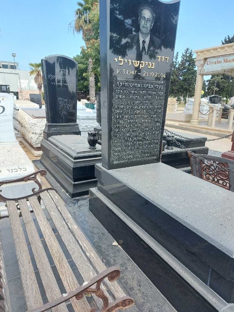 קברו של דוד נניקה. תמונה 2