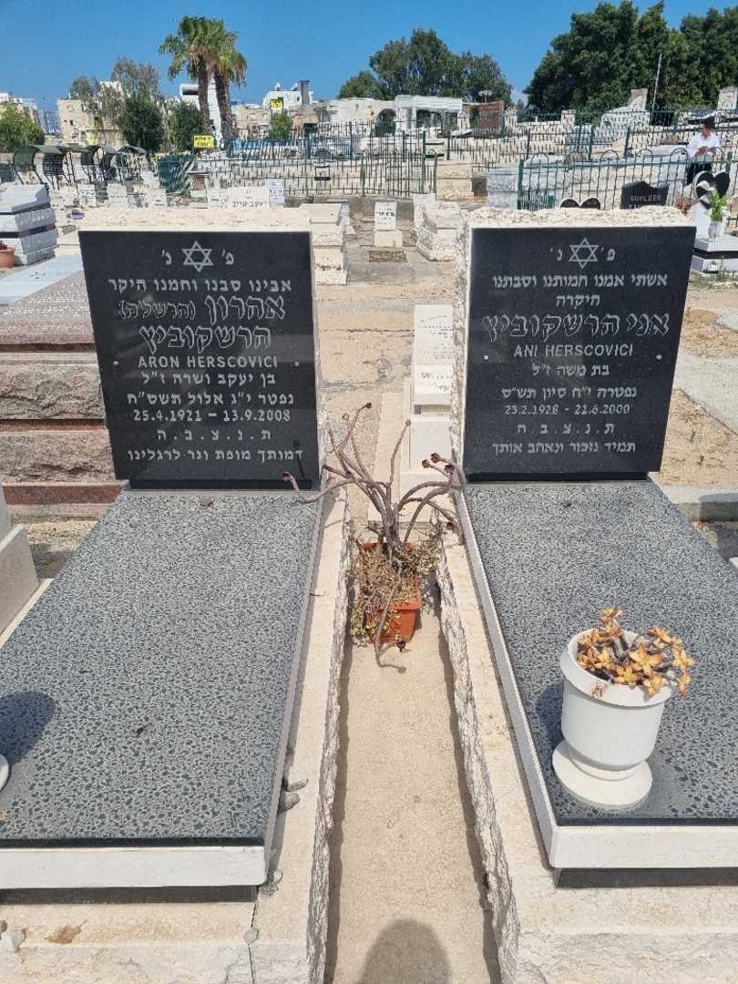 קברו של אני הרשקוביץ. תמונה 1