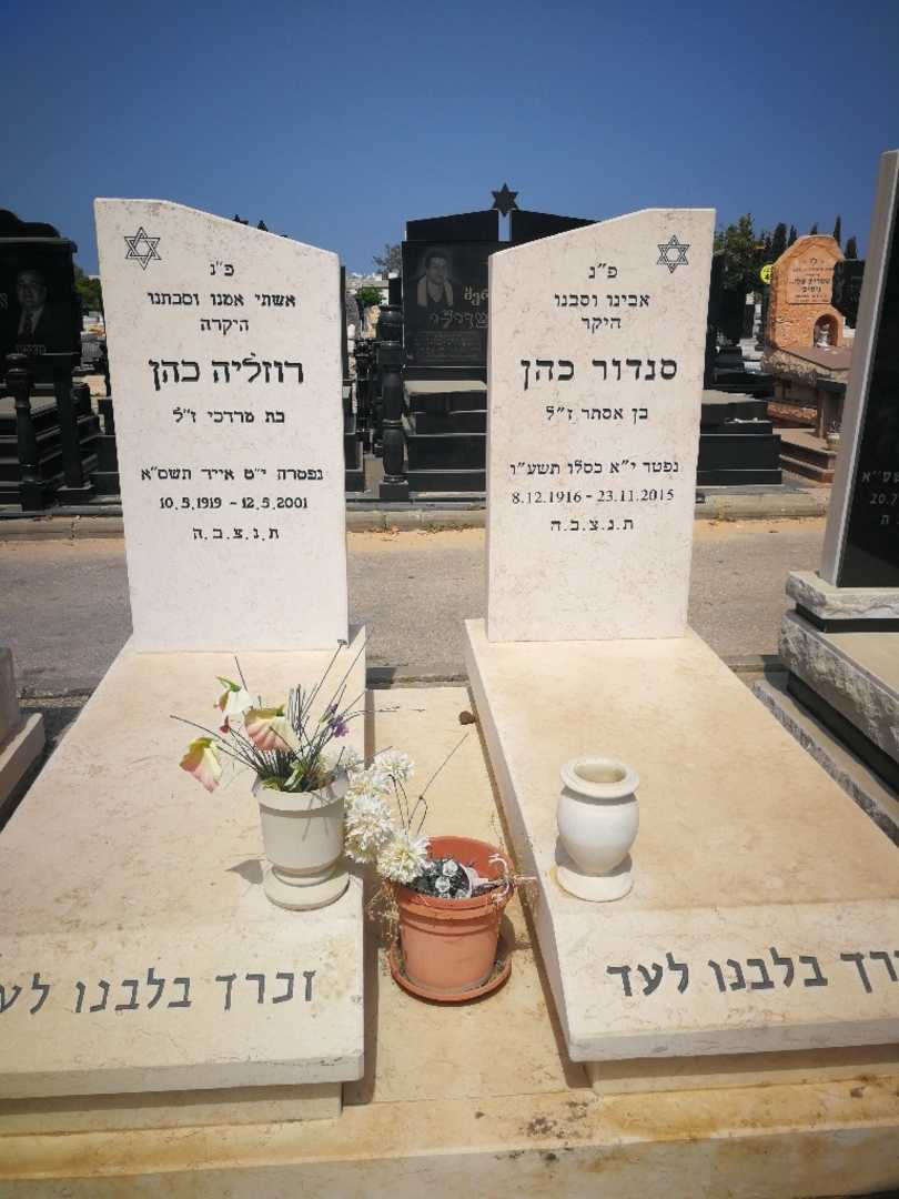 קברו של רוזליה כהן. תמונה 2