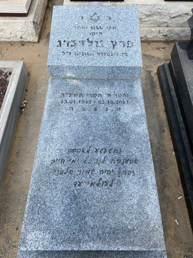 קברו של פרץ גולדברג. תמונה 2